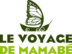 Le voyage de mamabé.jpg