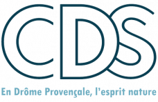 CDS.png