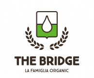 BRIDGE.jpg