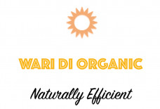 WARIDI-logo.jpg
