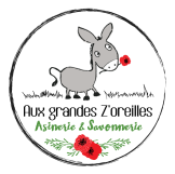 logo-ane-vector-c.png