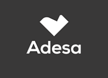 logo.png