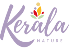 Logo-web.png