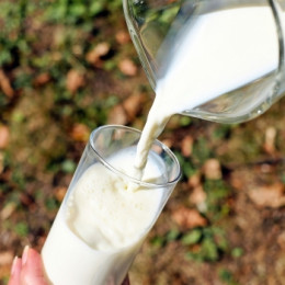 Les boissons végétales