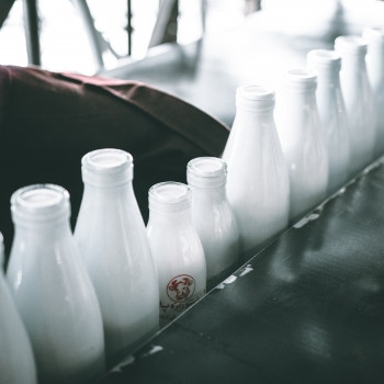 CONSOMMER DES PRODUITS LAITIERS : UN CHOIX PERSONNEL À FAIRE, MAIS PAS DE FAÇON IRRAISONNÉE
