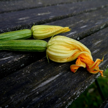 Cuisine des Fleurs