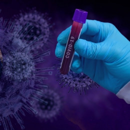 MOUSTIQUES ET CORONAVIRUS :  Faut-il avoir peur ?