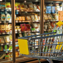 L'organisation et l'évolution  de la distribution bio