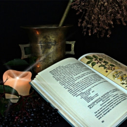 LA PHYTOSPAGYRIE