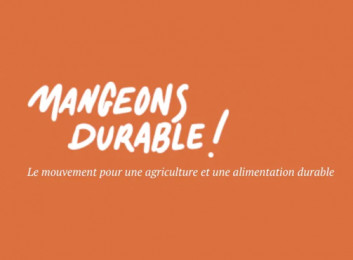 Sans-titre-2.jpg