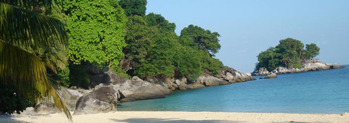 compalim-mer-header.jpg
