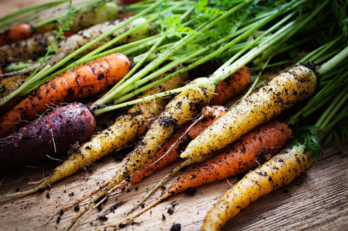 Raw_food.jpg