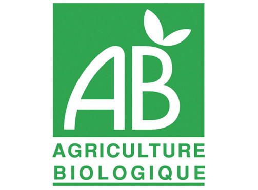 AB-WEB.jpg