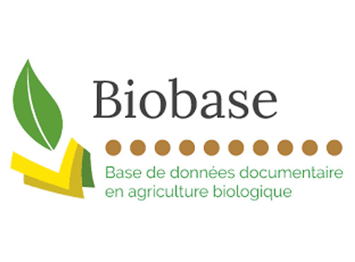 Abiodoc-WEB.png