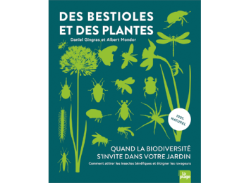 Sans-titre-1.png