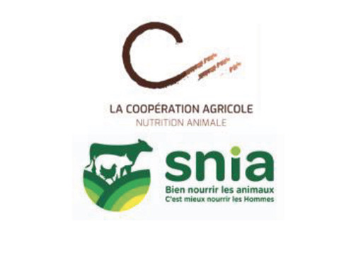 SNIA.jpg