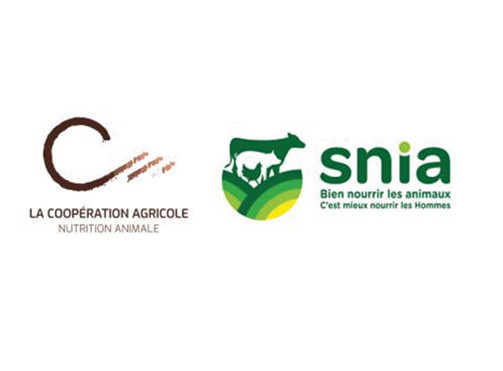 snia.jpg
