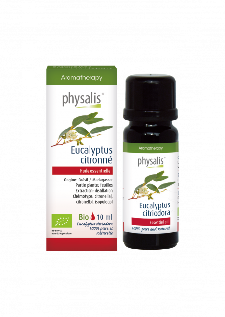 Eucalyptus citronné