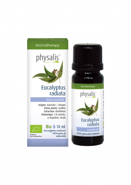 Eucalyptus radiata