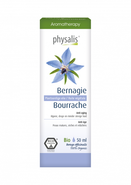 Bourrache