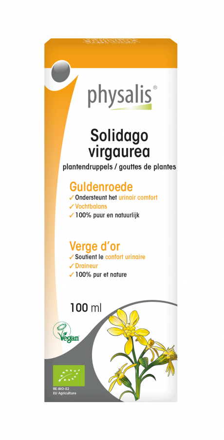 Solidago virgaurea