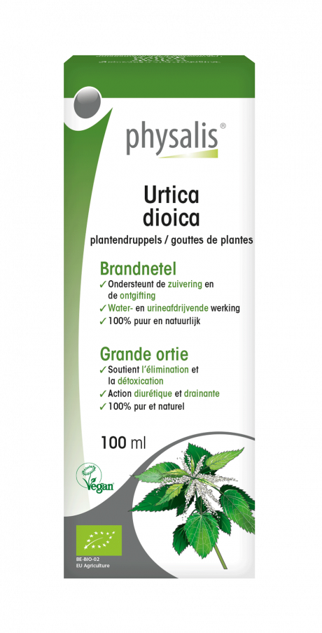 Urtica dioica