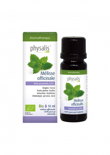Mélisse officinale