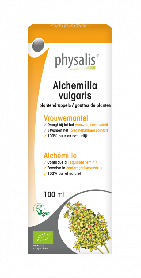 Alchemilla vulgaris