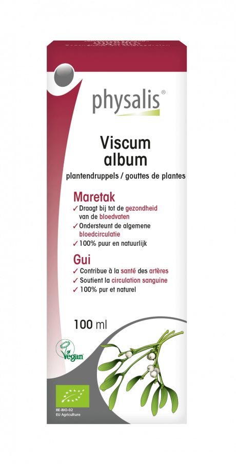 Viscum album
