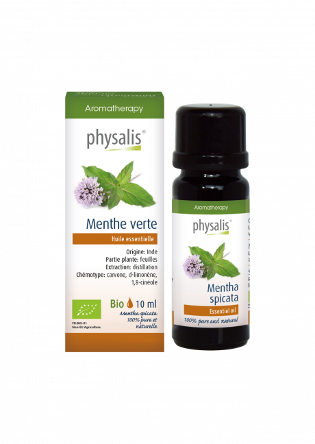 Menthe verte