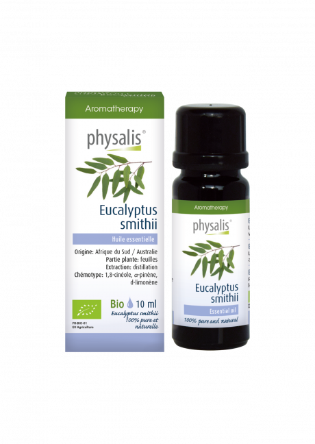 Eucalyptus smithii