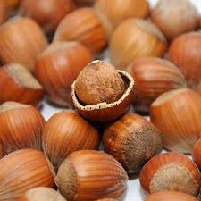 Noisettes