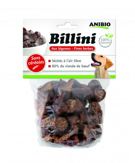 Billini