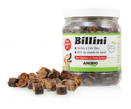 Billini