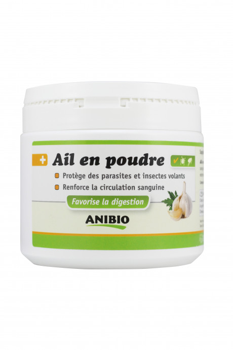 Ail en poudre