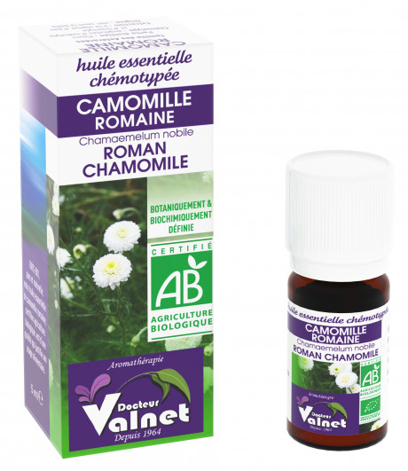 Camomille romaine 