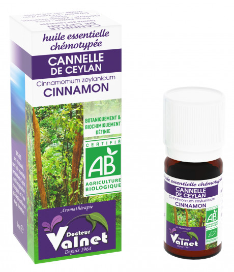 Cannelle