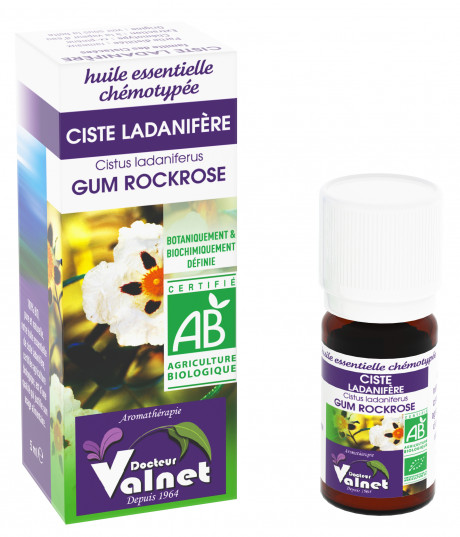 Ciste Ladanifère