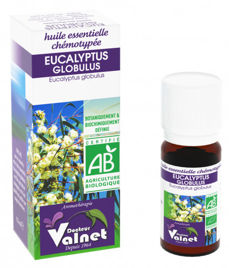 Eucalyptus Globulus