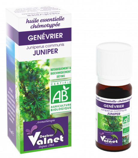 Genévrier