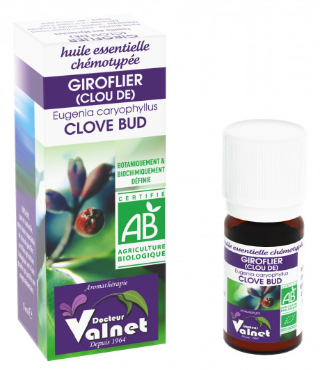 Giroflier (Clou de) 