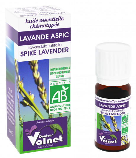 Lavande Aspic
