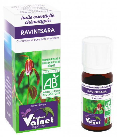 Ravintsara