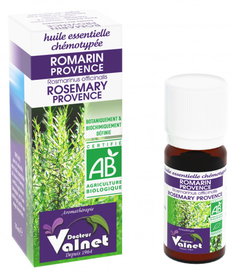 Romarin Provence