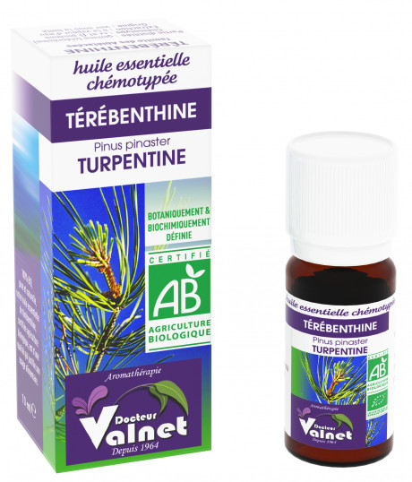 Térébenthine 