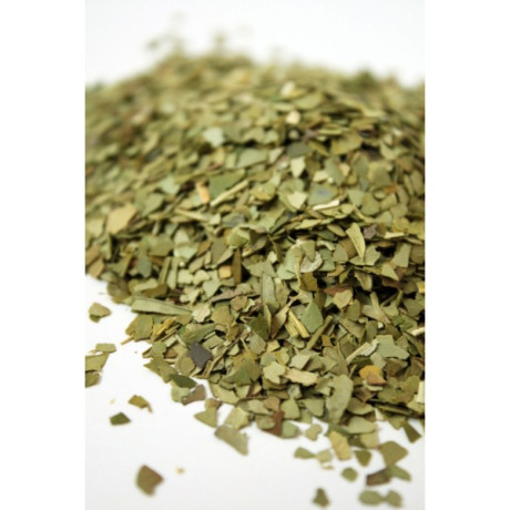 mate-vert-bio3.jpg