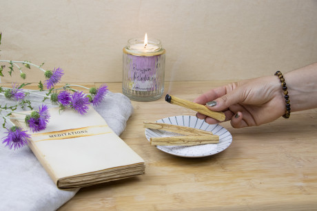 PALOs_palo_santo_ambiance.jpg