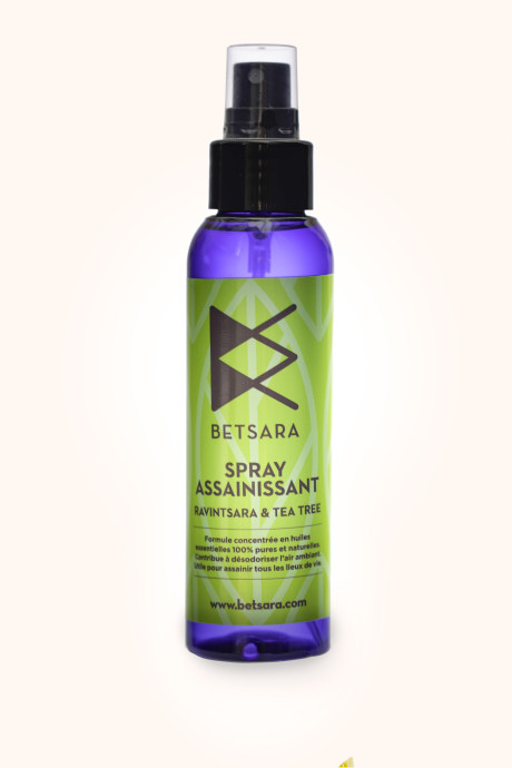 DI2A2574-1-scaled.jpg