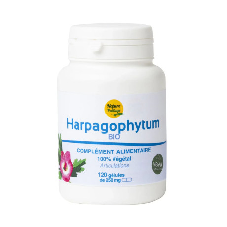Harpagophytum-1-scaled.jpg