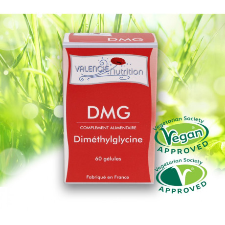DMG